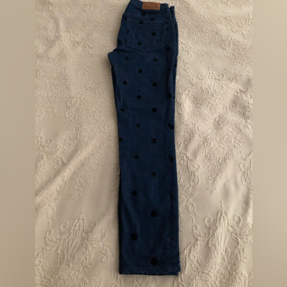 J Crew jeans, size 27, the 9” toothpick